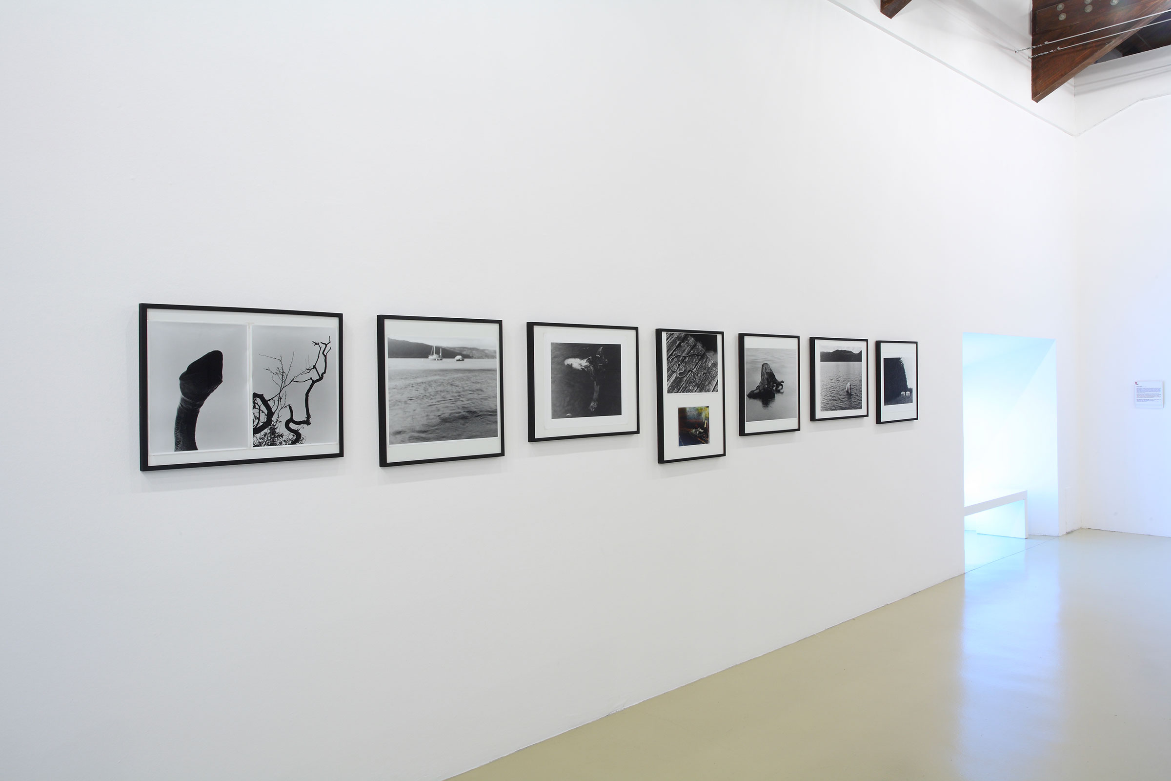 Gerard Byrne,  Case Study: Loch Ness (Some possibilities and problems), 2001-2008